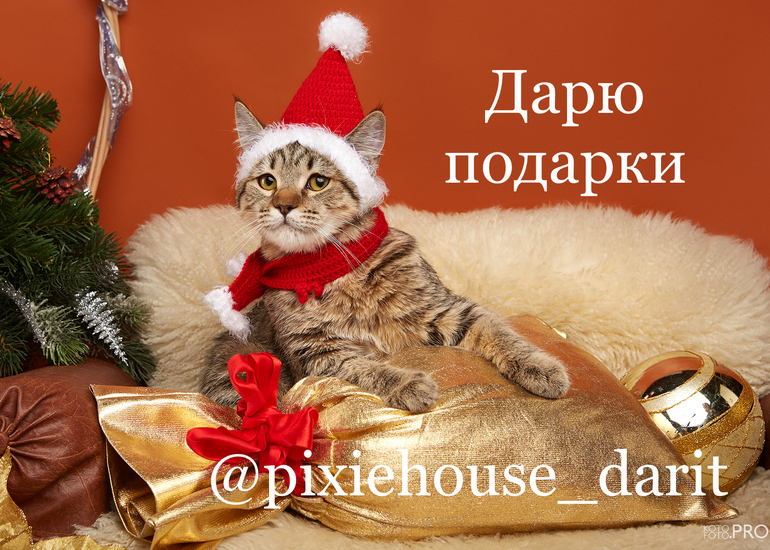Сюрприз. Дарим подарки. Розыгрыш призов.