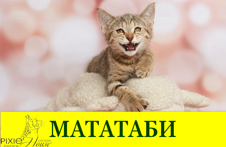 Релакс. Удовольствие. Радость.